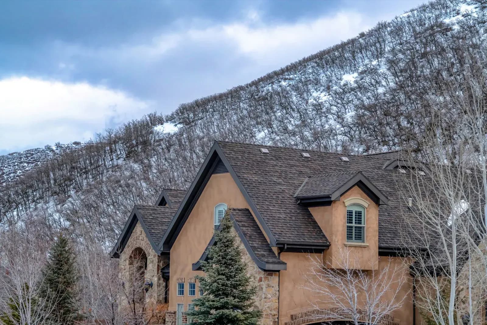 6668f116eae42690444bf7ae_brown-house-hills-snow-p-1600.webp