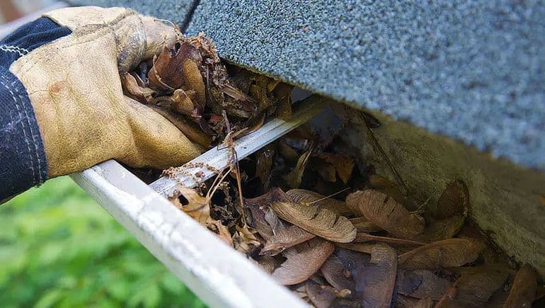 671265a959814ff97b073286_6668ea81e22f09c417fb4045_clogged-up-gutters.jpeg