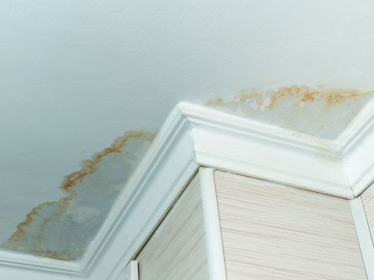 671265a959814ff97b0732a7_6668ea8138f4d4b8dc4d32ff_roof-leak-ceiling-stains.jpeg