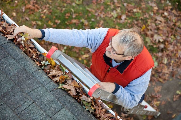 671265a959814ff97b0732b1_6668ea81f20468c755b1879d_man-cleaning-eavestrough-up-ladder.jpeg