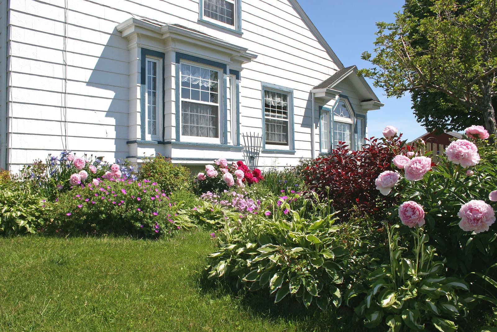 bigstock-Flower-Garden--617593.jpg