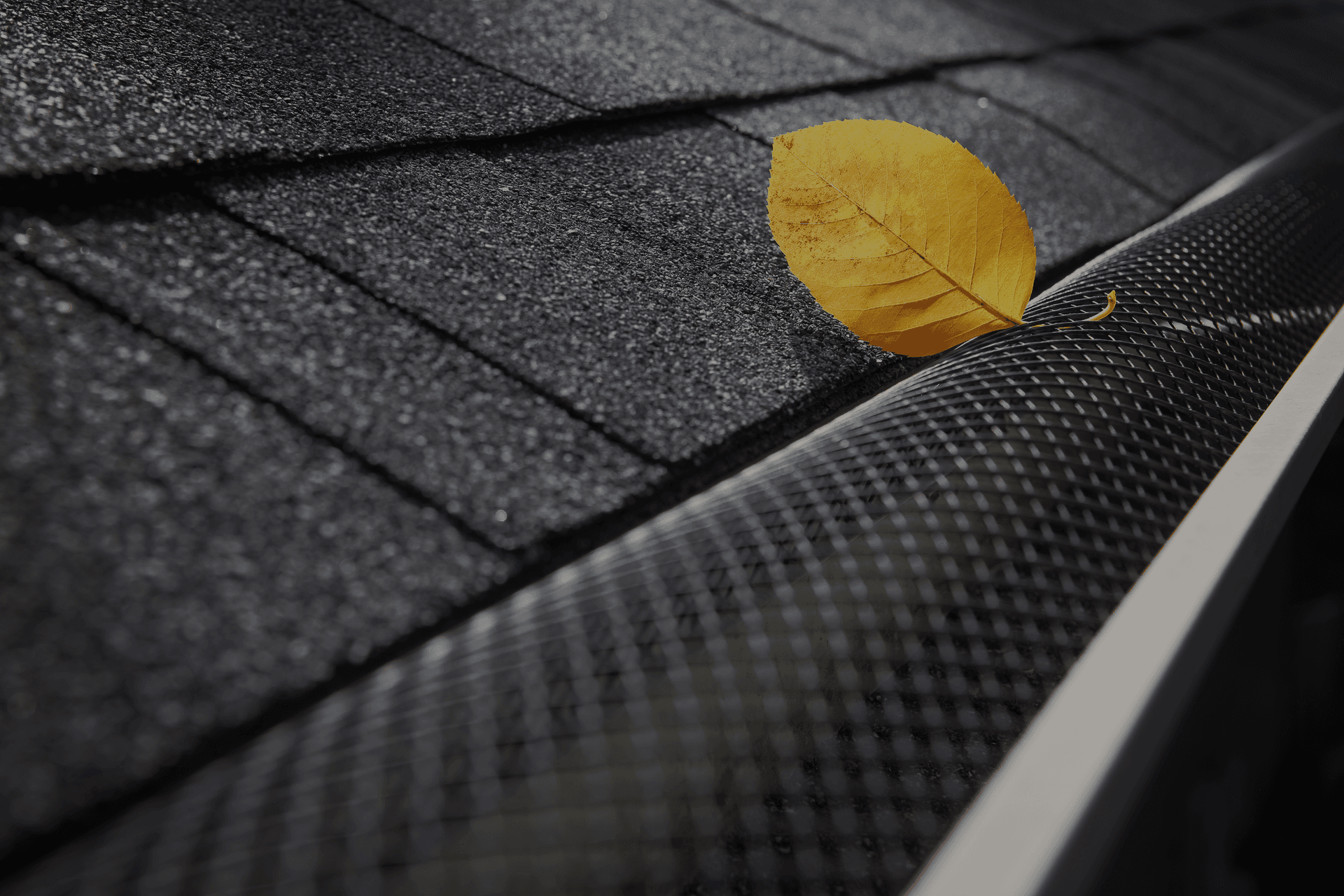 bigstock_plastic_guard_over_gutter_on_a_254876107_v3paop2tmx8b0atytwz7v8 1.png