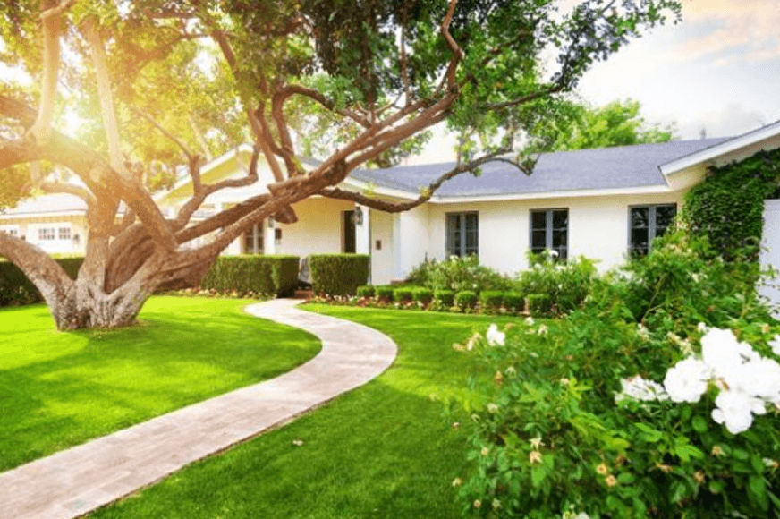 imgi_244_default_8nuzdup2e7kom1zcj9tcv9 1.png